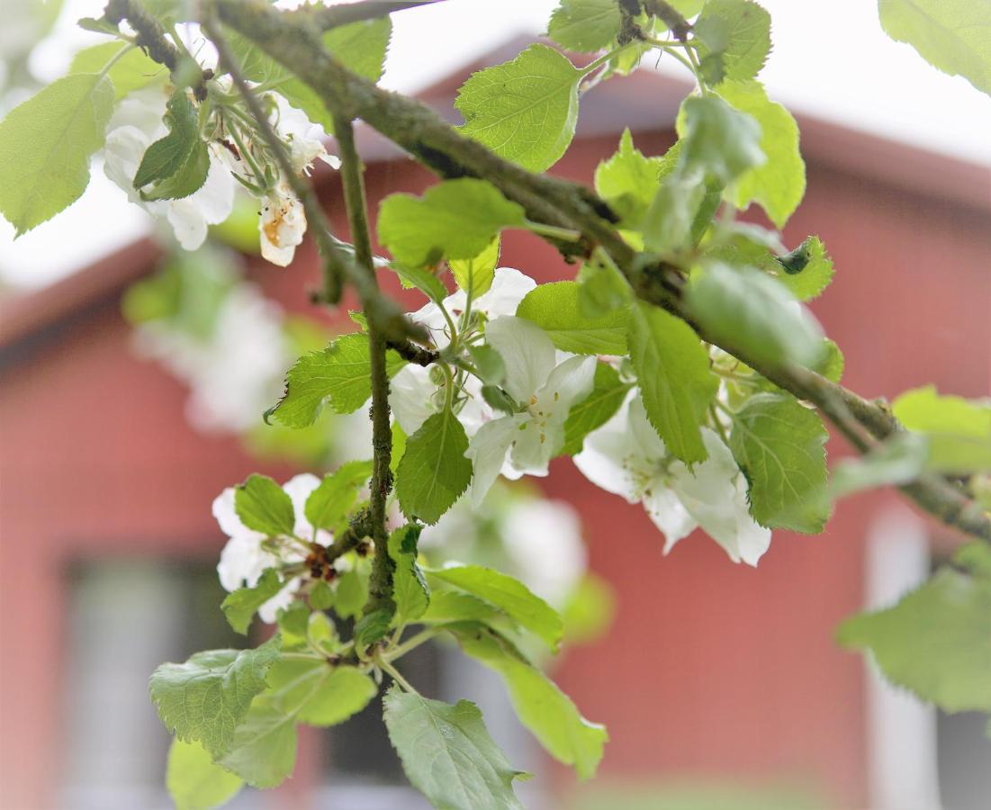 Villa Maria Garden Cottages, Хельсингборг Экстерьер фото